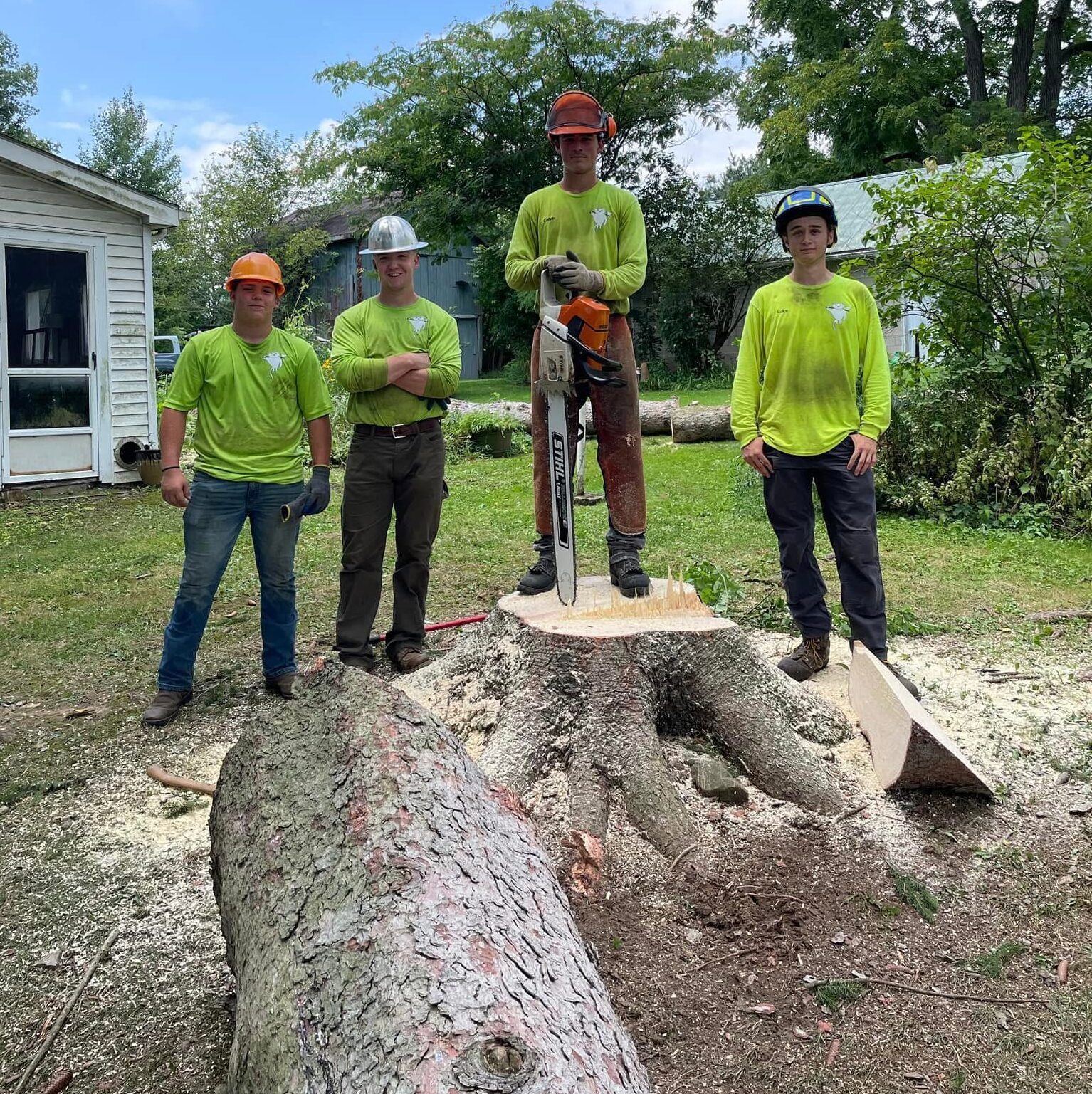 van and sons with workers on tree stump